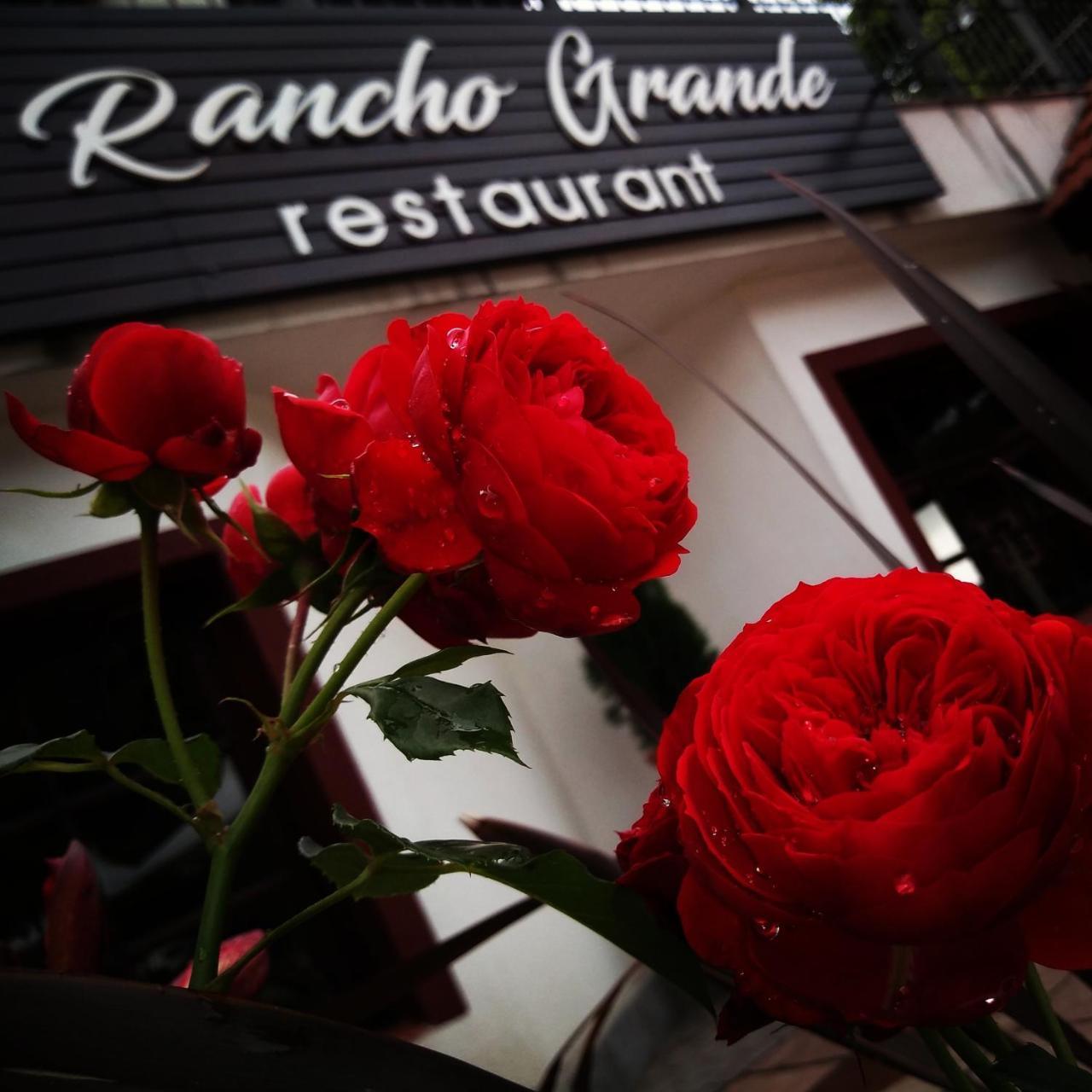 Rancho Grande Hotel Villa General Belgrano Kültér fotó