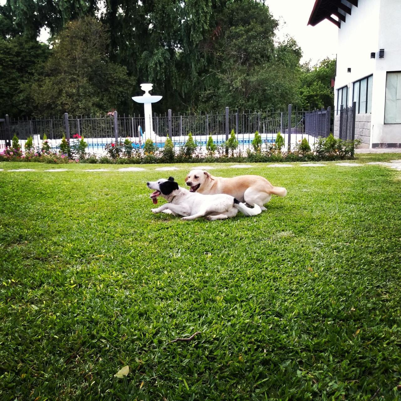 Rancho Grande Hotel Villa General Belgrano Kültér fotó